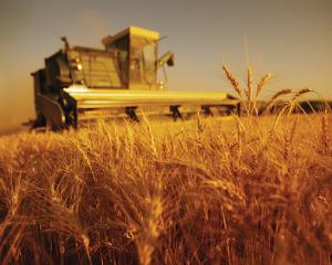 Analize Manager.ro: Cei trei agricultori ai Romaniei