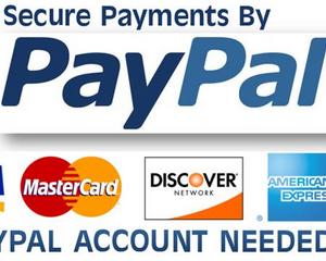 PayPal lanseaza Chip&PIN in Marea Britanie