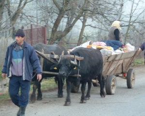 ANALIZA: Care sunt cele mai libere economii din lume. Pe ce loc s-a situat ROMANIA in clasament