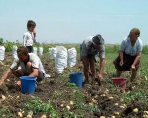 CEC Bank a acordat ajutor financiar unui numar de 58.000 fermieri