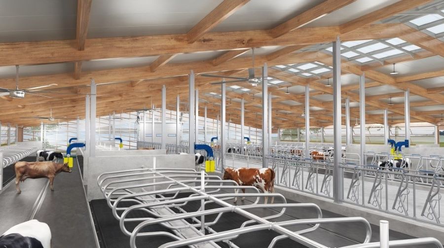 Top 3 sisteme de automatizare pentru cresterea randamentului in fermele moderne