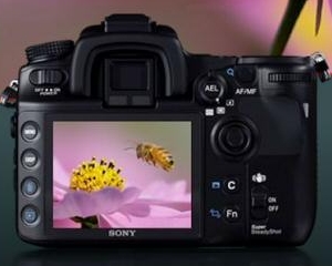 Sony vrea sa acapareze 15% din piata aparatelor foto SLR, prin lansarea de noi modele
