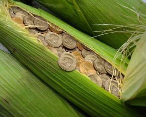 Agricultura alearga dupa fonduri europene. Investitiile depasesc 2 miliarde de euro