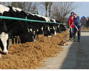 Unii agricultori pot primi sprijin financiar comunitar