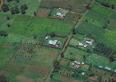 Agricultura, monitorizata prin satelit