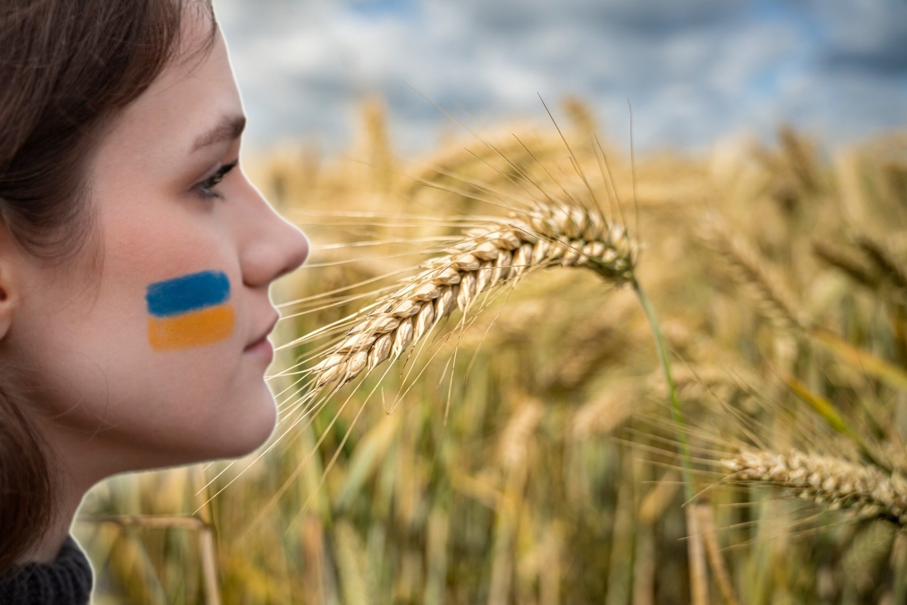 Romania intervine radical in criza cerealelor din Ucraina. Decizia de care atarna securitatea alimentara globala, in mainile noastre