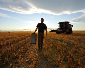 FAO: Preturile globale la alimentele de baza au crescut in februarie