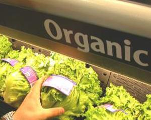 Studiu: Consumatorii de mancare organica sunt mai predispusi sa devina egoisti