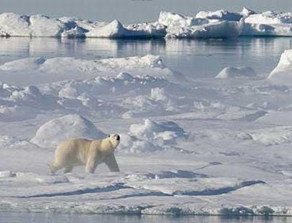 S.O.S.: Oceanul Arctic este mai cald decat acum 2.000 de ani!