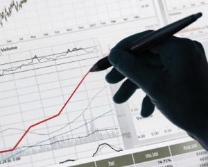 Coface: Economia Romaniei va ajunge la nivelul din 2008 abia in 2014