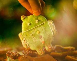 "Gingerbread" este cea mai populara versiune de Android, cu o cota de aproape 56%