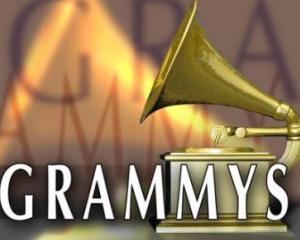 Castigatorii celei de-a 53-a gale a premiilor Grammy 