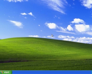 Microsoft spune ca utilizatorii renunta deja la Windows XP. Oare?
