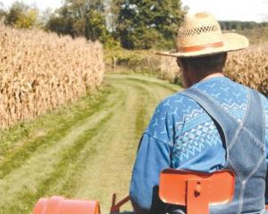 ANALIZA: Fermierii romani, interesati de evolutia tehnologica in agricultura si mai putin de subventii sau cresterea galopanta a pretului la motorina