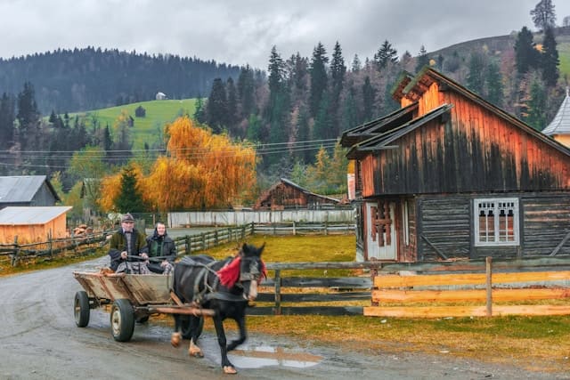 5 idei de afaceri pentru romanii care stau la curte