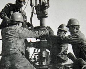Ernst & Young: Tari din intreaga lume isi modifica sistemele fiscale pentru domeniul petrolier