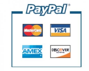 PayPal: Plati cu telefonul mobil de 3 miliarde de dolari in 2011