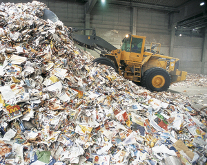 Ministerele din Romania sunt corigente la reciclarea hartiei