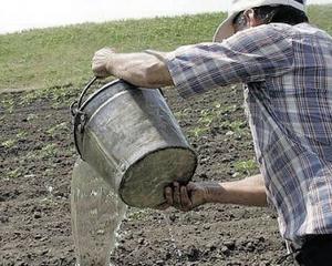 Seceta din aceasta vara a afectat sute de mii de hectare de productie agricola