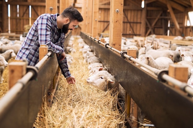 Intretinerea fermelor de animale: cum ai grija de igiena adaposturilor?