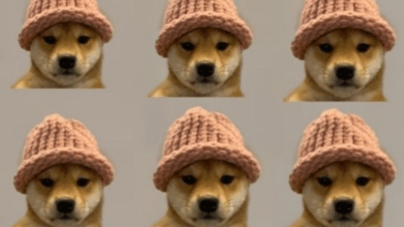 Dogwifhat si Shiba Inu incep saptamana ca fiind castigatori in universul monedelor Meme, in timp ce DOGE20 strange 2 milioane USD (P)