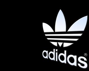 Adidas: Profitul a crescut, in ton cu actiunile