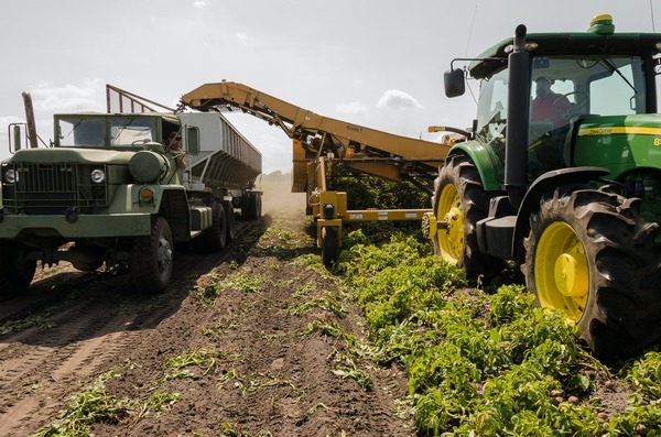 Idei de afaceri in agricultura. Afaceri profitabile, pe teren putin si cu investitie mica