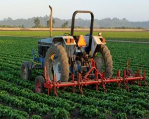 Daniel Constantin: Agricultura va avea de castigat daca se relanseaza consumul