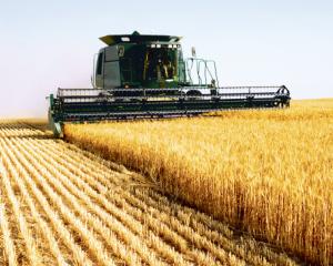 Noile taxe impovareaza agricultura romaneasca si scad competitivitatea sectorului agricol