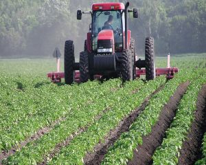 Agricultura este viitorul. Ce asteptari au fermierii de la UE in 2016