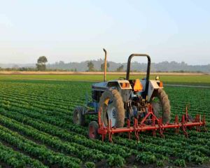 Carnetele de rentier agricol se pot viza in perioada 1 martie - 31 august 2016