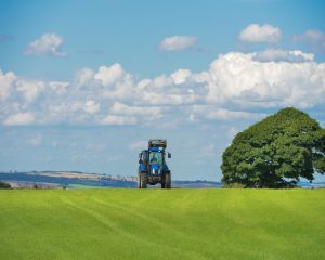 Guvernul a aprobat masuri financiare pentru sustinerea agricultorilor