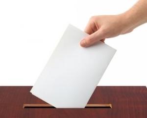 Alegeri 2014: descarca declaratia pe propria raspundere pentru votantii din diaspora