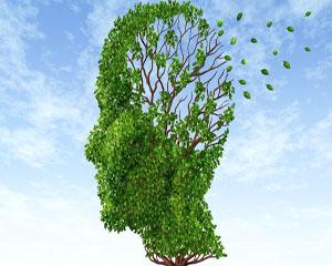 Un stil de viata echilibrat ne poate feri de Alzheimer