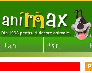 Animax premiat pentru cel mai bun magazin online la categoria "Pet Shop"