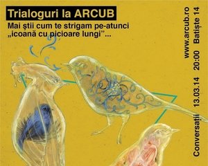 TRIALOGURI LA ARCUB. Curiozitatea de a afla cine sunt