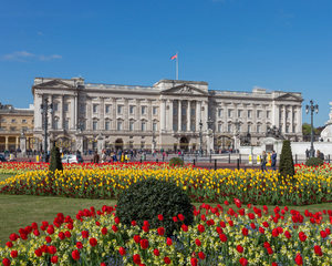 Dinastia jucariilor la Palatul Buckingham