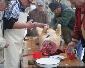Producatorul de carne Roon Food din Bulgaria, in insolventa