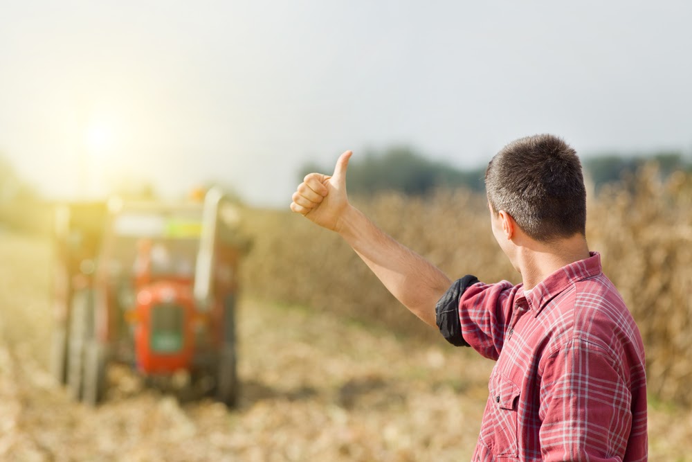 Business in agricultura: recomandari pentru o afacere de succes