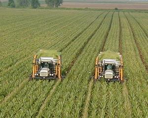 Ce excedent agroalimentar a avut Romania in 2013