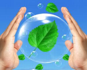 Green Enviro Services vine cu un nou pachet de servicii in consultanta