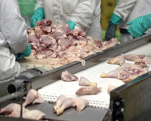 Autoritatile publice din Romania prefera carnea de pasare