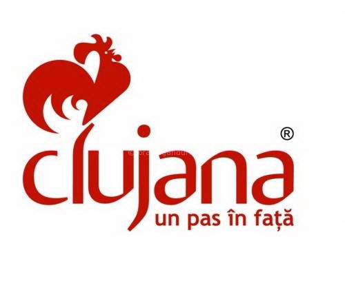 Producatorul romanesc de incaltaminte Clujana a intrat in insolventa