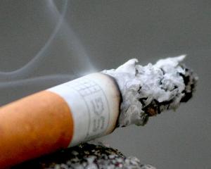 Prima campanie impotriva contrabandei cu tigarete in regiunea nord - est, cea mai afectata de piata neagra