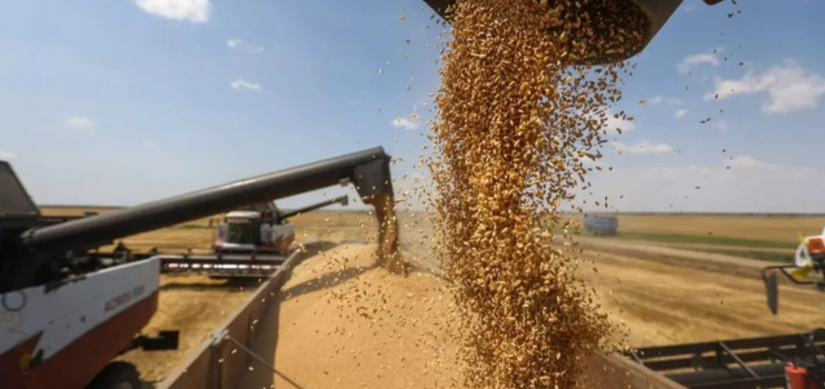 Analiza. Ne apropiem de o criza majora a cerealelor? Pretul graului a crescut cu peste 130%, iar al porumbului cu 106%