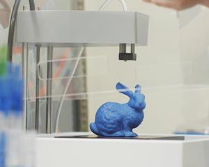 Cum arata imprimanta 3D de 250 de dolari