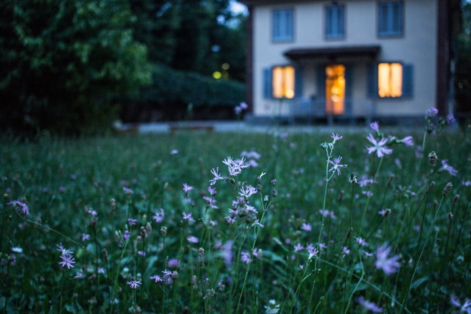 De ce e un moment bun sa te apuci de amenajarea curtii