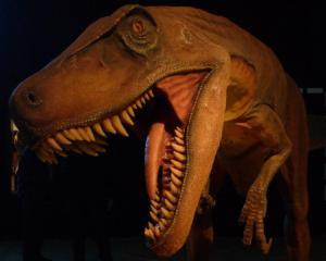 Dinozaurii vor strajui drumul spre Cetatea Rasnov