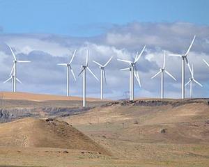 Estimare: Energia regenerabila, plus 60% in 2014
