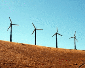 Energia eoliana in Romania, 5% din productia totala